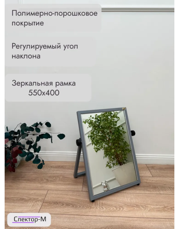 Зеркало напольное обувное/серый